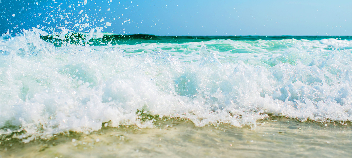 Facebook粉絲頁圖片